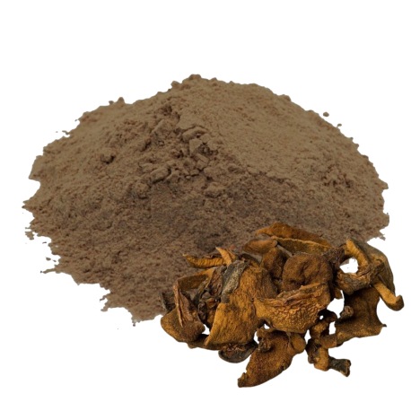 Hongos de Pino 500 grs. SABORES DEL PRADO