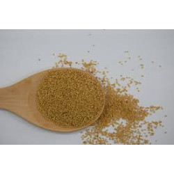 Semilla de mostaza 1 kg SABORES DEL PRADO