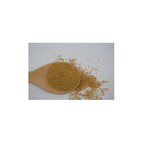 Semilla de mostaza 1 kg SABORES DEL PRADO